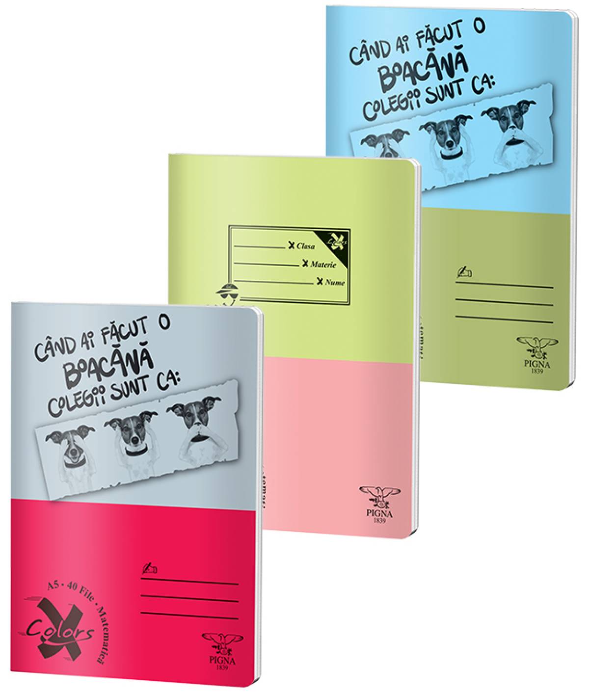 Caiet BASIC A5 40file, matematica, 60gr