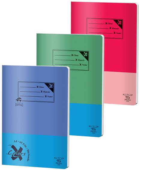 Caiet BASIC A4 60file, dictando, 60gr