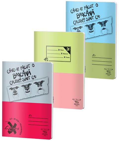 Caiet BASIC A5 40file, matematica, 60gr