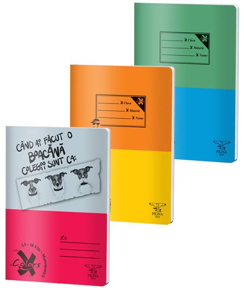 Caiet BASIC A5 48file, matematica, 60gr