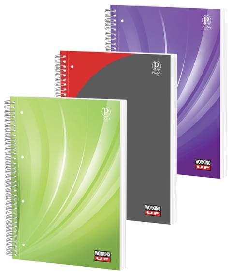 Caiet spira A4 120file matematica Cartonat WorkingUp