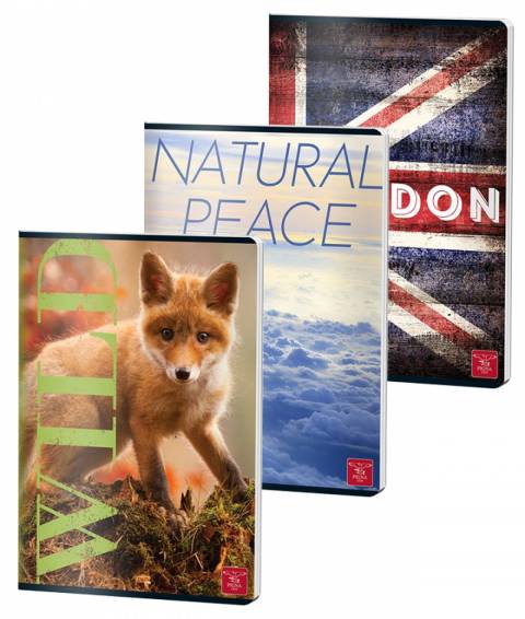 Caiet CLASIC A4 60file velin, 70gr