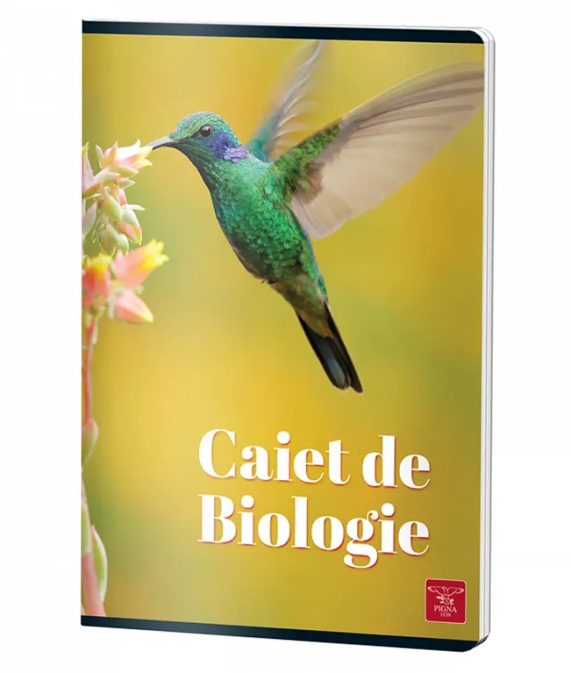 Caiet Biologie, A4, Pigna Clasic, 24file, 70grm – imaginea 3