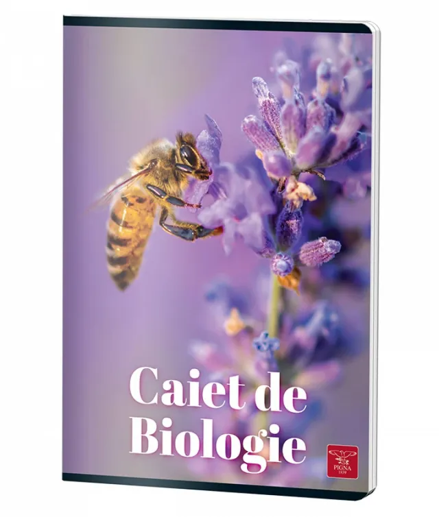 Caiet Biologie, A4, Pigna Clasic, 24file, 70grm – imaginea 5