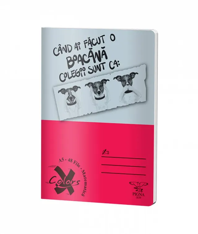 Caiet Matematica, A5, Pigna BASIC, 48file, 60 gr, MIX DESIGN – imaginea 3