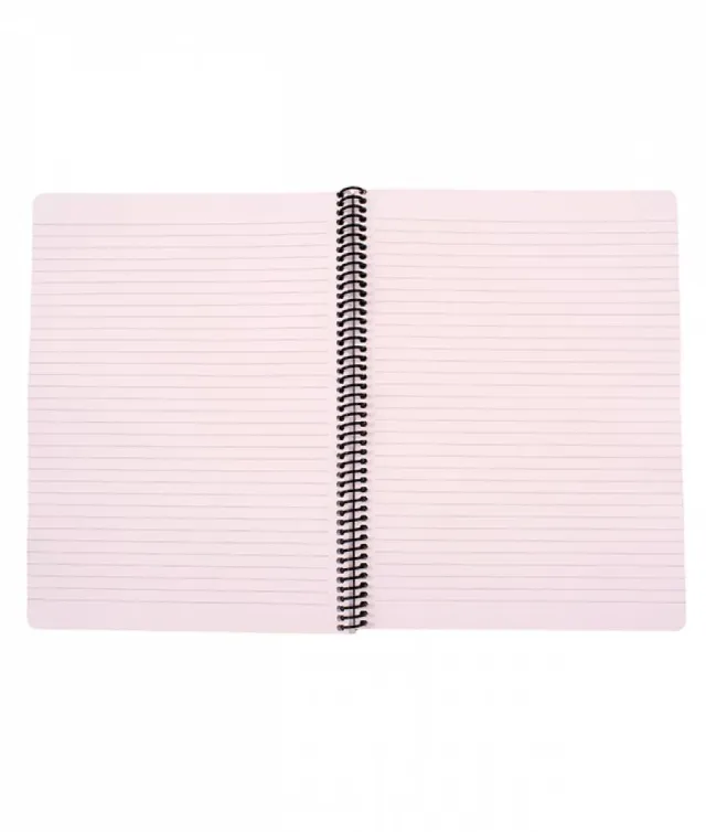Caiet Spira Continua Dictando, A4, PIGNA, coperta plastic 450mic, 140 file, 70g – imaginea 6