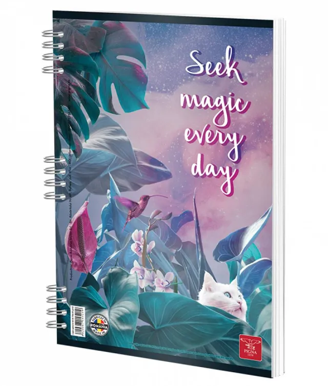 Caiet Spira Matematica, A4, Pigna Clasic, 50file, 60gr – imaginea 4