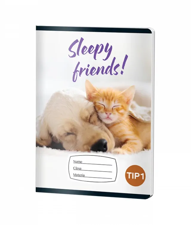 Caiet Tip1 BAIETI, A5, Pigna, 24 file, hartie 70grm, PET FRIEND
